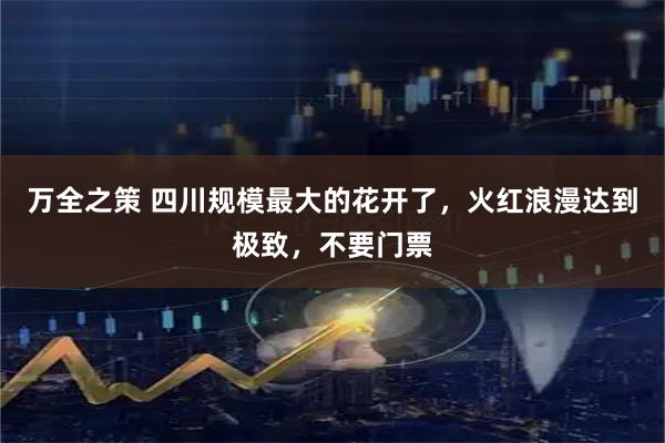 万全之策 四川规模最大的花开了，火红浪漫达到极致，不要门票