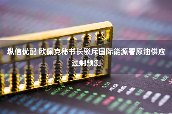 纵信优配 欧佩克秘书长驳斥国际能源署原油供应过剩预测
