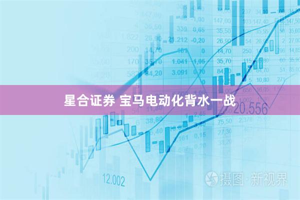 星合证券 宝马电动化背水一战