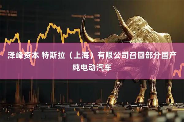 泽峰资本 特斯拉（上海）有限公司召回部分国产纯电动汽车