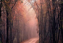 合肥股票配资公司:在手机上如何买股票-刚刚通过！利好来了！中概股回港上市传来大消息